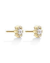 Snowflake gray and white diamond Earrings